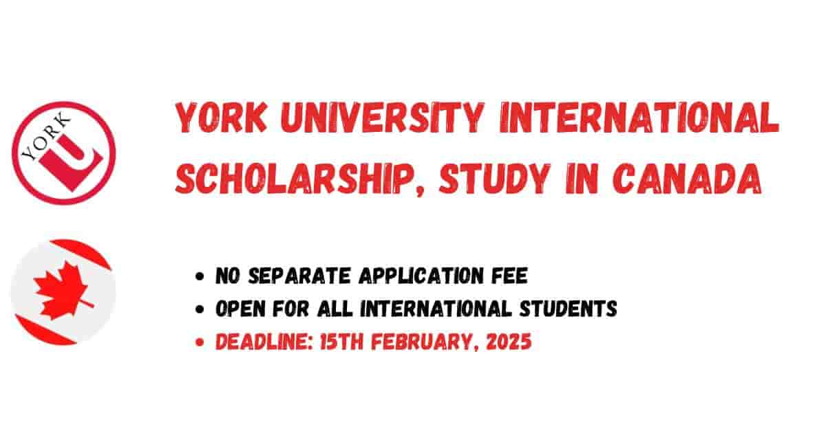 York University International Scholarship